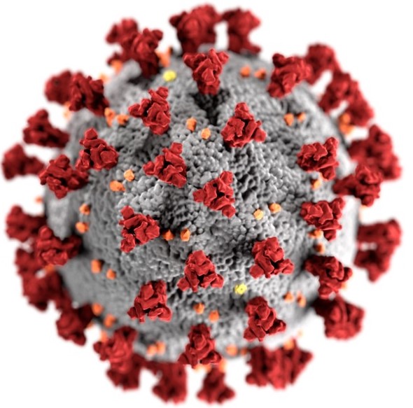 coronavirus3