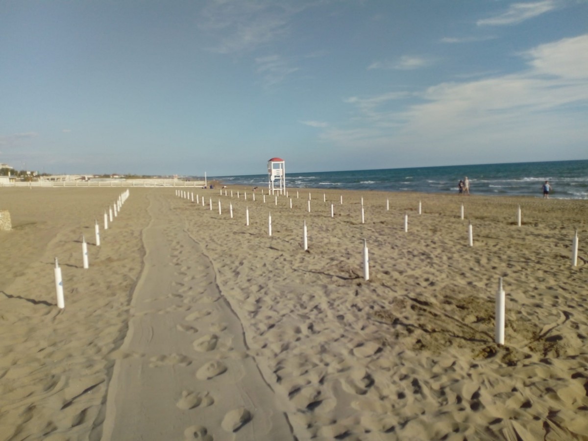 spiaggia_covid