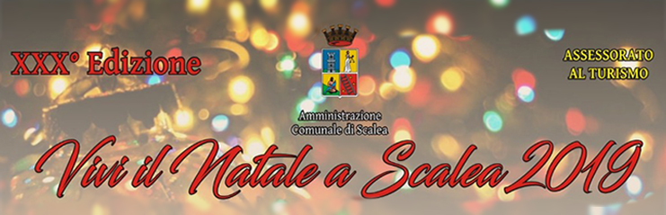 banner_vivi_il_natale_2019