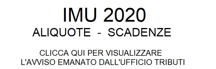 imu_2020